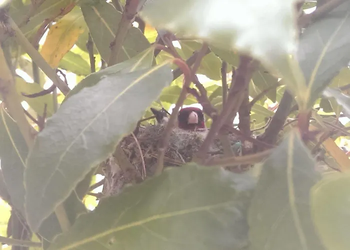 The Regency, Clifton 4*